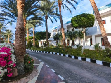 Sharm El Sheikh, Mısır - 31 Aralık 2018: Tropikal lüks Sultan bahçeleri Resort Red Sea Beach.