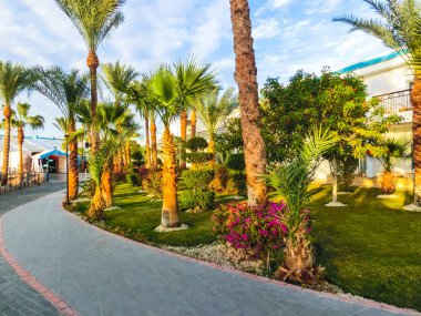 Sharm El Sheikh, Mısır - 31 Aralık 2018: Tropikal lüks Sultan bahçeleri Resort Red Sea Beach.