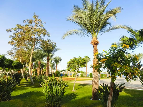 Szarm El-Szejk, Egipt - 31 grudnia 2018 r.: Tropical luxury Sultan Gardens Resort na plaży nad Morzem Czerwonym. — Zdjęcie stockowe