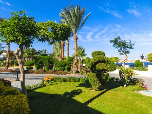 Sharm El Sheikh, Egipto - 31 de diciembre de 2018: Sultan Gardens Resort de lujo tropical en la playa del Mar Rojo . —  Fotos de Stock