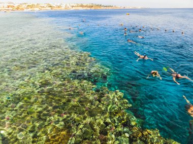 İnsanlar, Mısır 'ın Sharm El Sheikh kentindeki kızıl denizde mercan resifinin üzerindeki mavi sularda şnorkelle yüzüyorlar.
