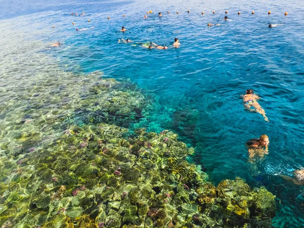 Sharm Sheikh Egypt December 2018 People Snorkeling Blue Waters Coral — Stock Photo, Image