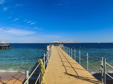 Red sea beach Mısır, Sharm el-Sheikh adlı