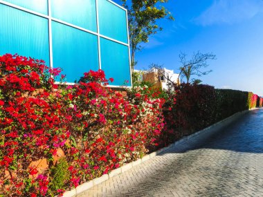 Sarı tuğla yolu denize lider mavi gökyüzü arka plan üzerinde perspektif içinde döşeli