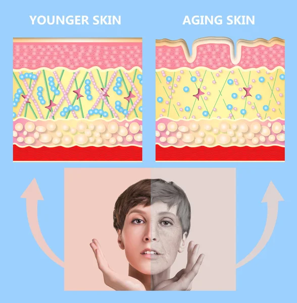 Mladší pleť a stárnutí kůže. elastin a kolagen. — Stock fotografie