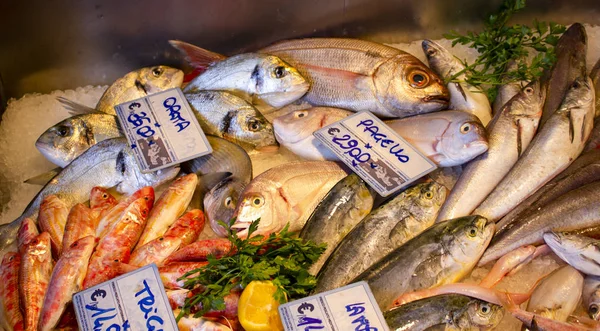 Italian fish market with many different fresh fishes