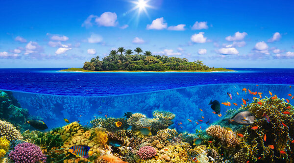 Beautiful sunny tropical beach on the island paradise and underwater world with coral fishes.