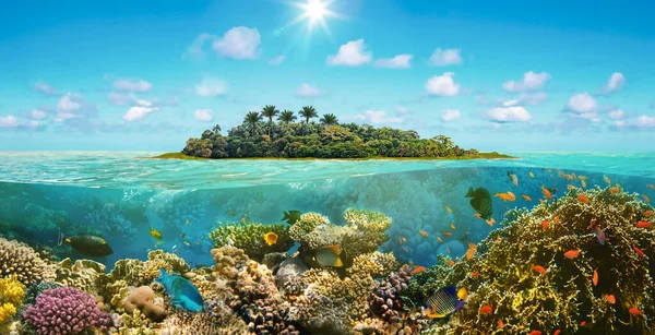Schöner Sonniger Tropischer Strand Auf Dem Inselparadies Und Unterwasserwelt Mit — Stockfoto