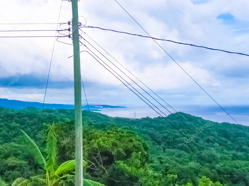 The Roatan road with trees at Honduras