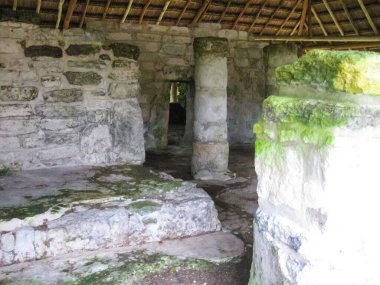 Cozumel 'deki San Gervasio' da kalan bir Maya harabesi.