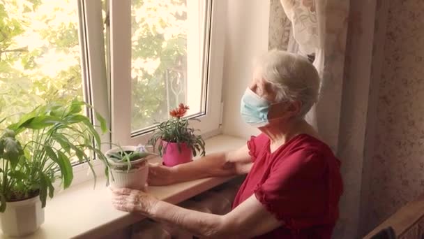Quot Covid Quot 安全和大流行病概念 戴着防护口罩的孤独老年老年妇女坐在家中靠窗的地方 以防止感染病毒 — 图库视频影像