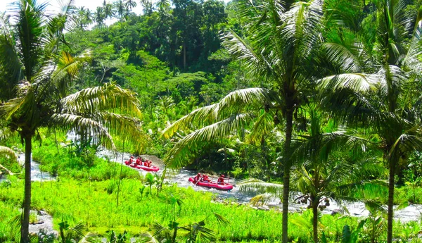 Balis dağ nehri Ayung kanyonunda rafting Ubud, Bali, Endonezya