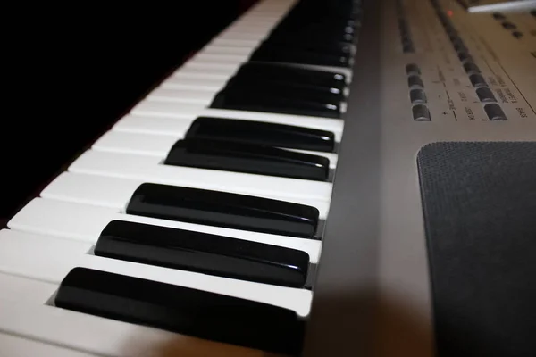 Modern Pipa Orgel Tangentbord Sida Enkel Elektronisk Instrumentnärbild Musik Konsert — Stockfoto