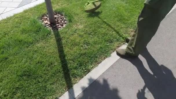 Cortador Grama Elétrica Cortando Grama Jardim Verão Cuidado Quintal Rua — Vídeo de Stock