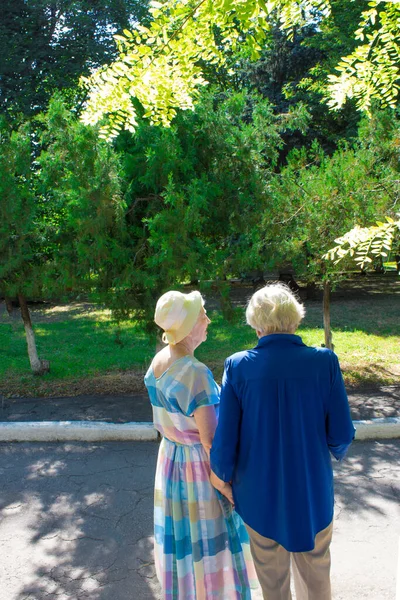 Duas Senhoras Seniores Parque Visão Traseira Mulheres Maduras Verão — Fotografia de Stock