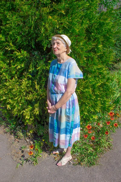 Retrato Una Anciana Sonriente Una Foto Fondo Del Parque Natural — Foto de Stock