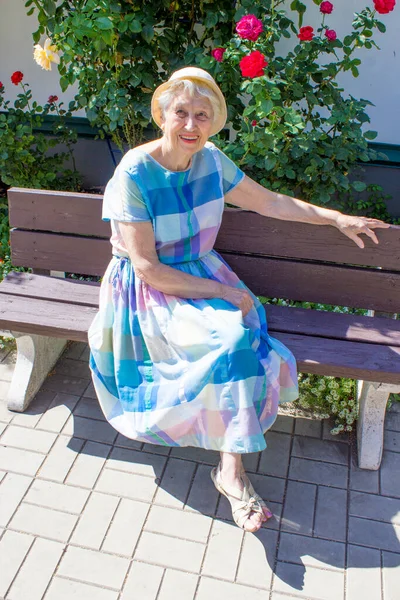 Portrait of a smiling elderly woman. A photo on the nature park background