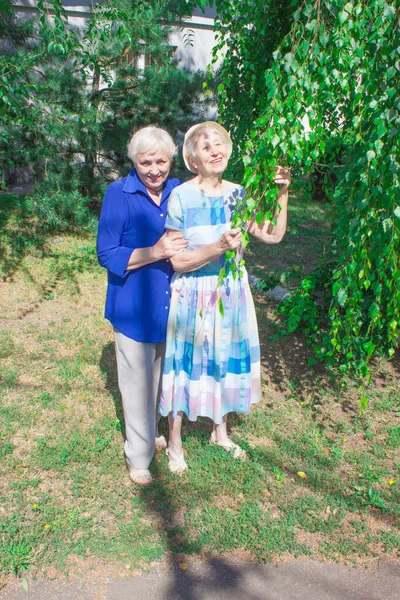 Portrait Deux Femmes Âgées Souriantes Une Photo Sur Fond Parc — Photo