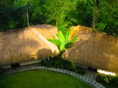 Bali, Endonezya - 13 Nisan 2012 Nandini Bali Orman ve Kaplıcaları 'ndaki bungalovlara bakınız.