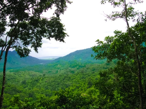 Het Groene Regenwoud Bij Lombok Indonesia Zuidoost Azië — Stockfoto