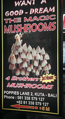 Bali, Endonezya - 09 Nisan 2012: Mağazanın yakınındaki sokakta, sihirli mantar satışı için bir işaret. Bu bir halüsinojen, psikotropik bir ilaç..