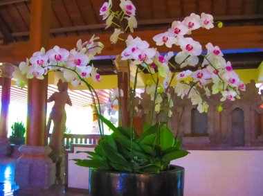 Bali, Endonezya - 09 Nisan 2012: Ayodya Resort Bali 'deki giriş salonu Nusa Dua, Bali, Endonezya