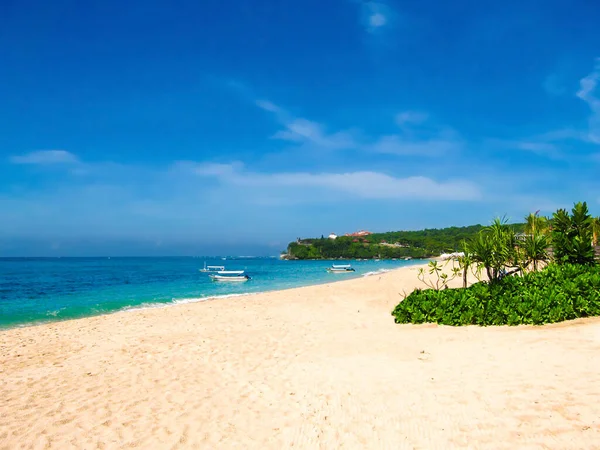 Bella Spiaggia Sabbia Bianca Circondata Palme Tropicali Sull Isola Bali — Foto Stock