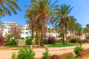Sharm El Sheikh, Mısır - 14 Eylül 2020: Hotel Siva Sharm, eski Savita Resort, Sharm El Sheikh, Mısır 'da 14 Eylül 2020