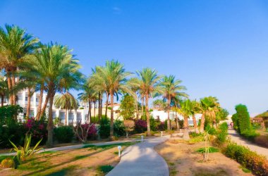 Sharm El Sheikh, Mısır - 14 Eylül 2020: Hotel Siva Sharm, eski Savita Resort, Sharm El Sheikh, Mısır 'da 14 Eylül 2020