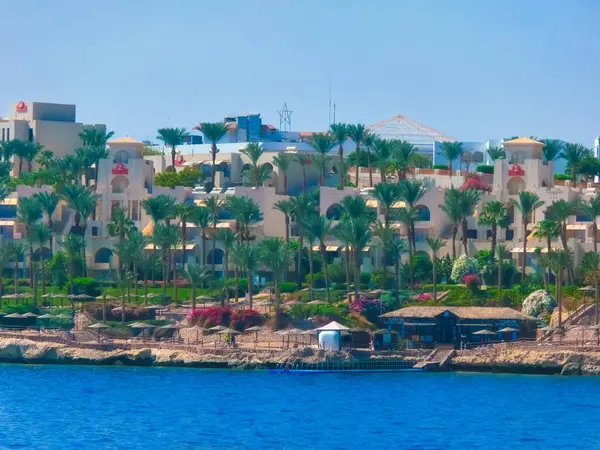 Sharm Sheikh Egypt September 2020 Beach Park Area Hotel Four — Stock Photo, Image