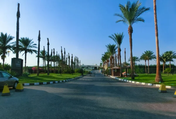 Sharm Sheikh Egyiptom Szeptember 2020 View Hotel Hilton Sharks Bay — Stock Fotó