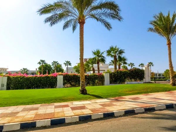 Sharm Sheikh Egyiptom Szeptember 2020 View Hotel Baron Resort Sharm — Stock Fotó