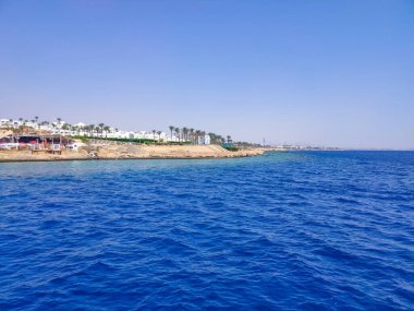 Mısır 'daki El Fanar sahilindeki resifler