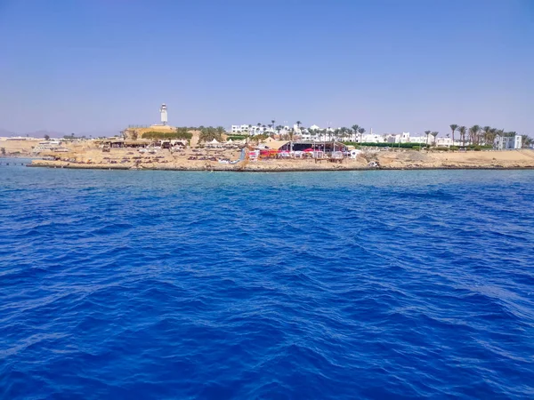 Рифы Пляже Красного Моря Эль Фанар Египте — стоковое фото