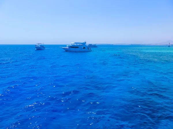 Los Turistas Nadando Parque Nacional Ras Mohamed Mar Rojo Sharm —  Fotos de Stock