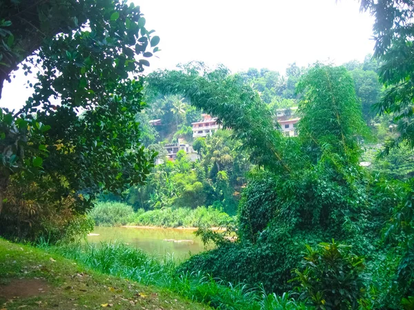 Sri Lanka Nın Sisli Kandy Kasabasının Düşük Görüş Koşulları Altında — Stok fotoğraf