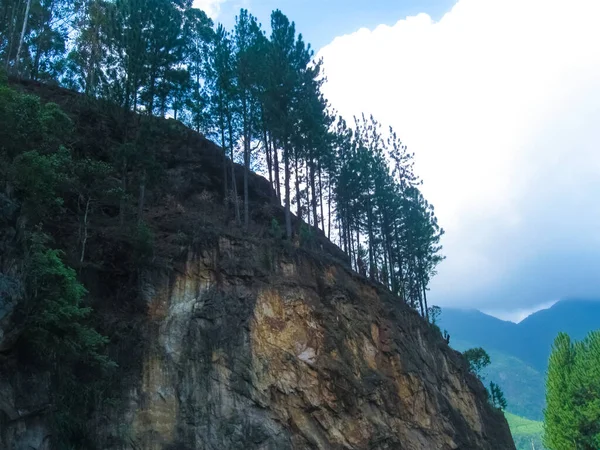 Heuvel Bij Theeplantages Nuwara Eliya Sri Lanka Kronkelende Snelweg — Stockfoto