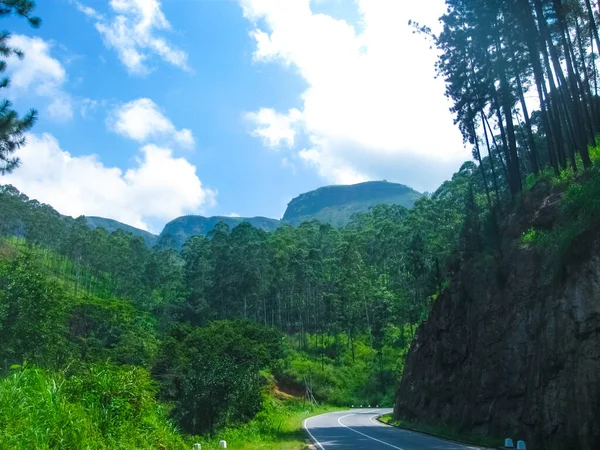 Weg Bij Theeplantages Nuwara Eliya Sri Lanka Kronkelende Snelweg — Stockfoto