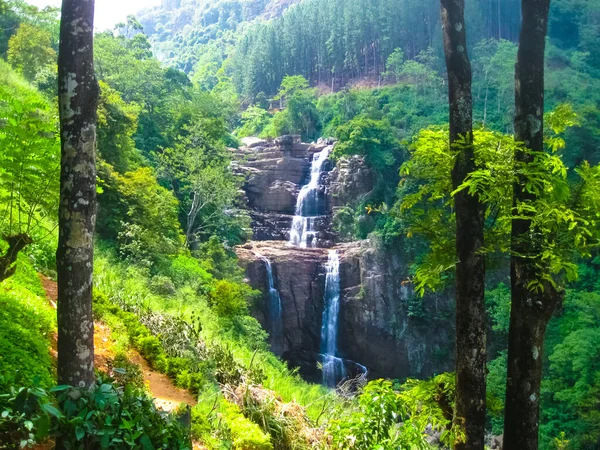 Waterfall Green Tropical Forest Nuwara Eliya Sri Lanka — Stock Photo, Image