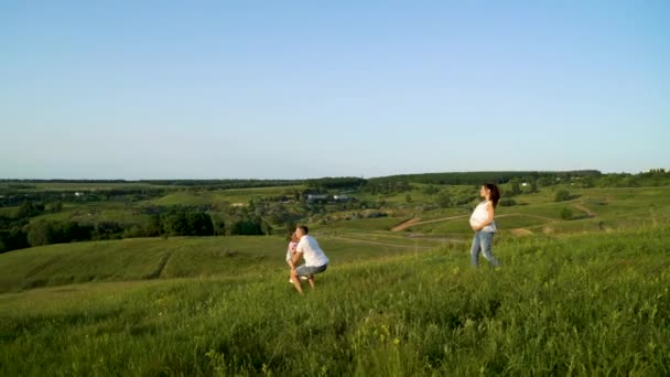 Embarazada pareja con hija pequeña caminando en campos verdes teniendo tiempo libre — Vídeos de Stock