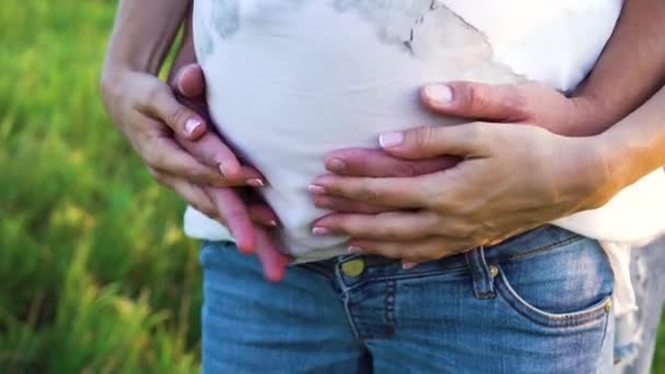 Крупный план рук родителей касающихся беременного живота в природе — стоковое видео