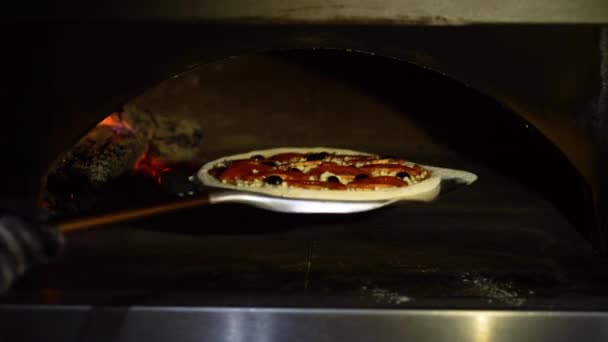 Putting Italian pizza into wood fired oven in restaurant — Stock Video