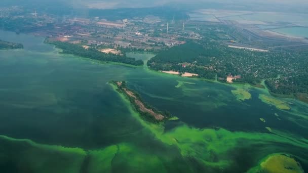Aérea de agua contaminada con algas verdes cerca de la zona industrial — Vídeo de stock