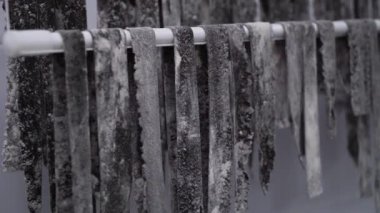 El yapımı pişmemiş makarna mürekkep balığı Mürekkep Kurutma raflar restoran mutfak ile renkli çizgili