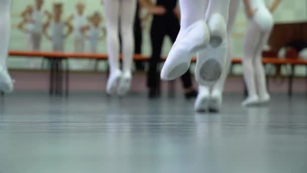 Closeup bacaklar beyaz Ayakkabı klasik bale stüdyosu pratik küçük balerinler grubunun — Stok video