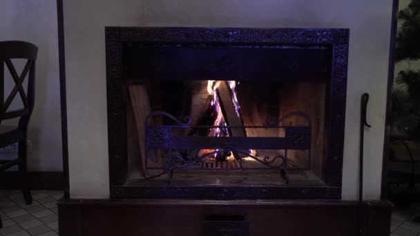 Burning wood in fireplace in the dark — Stock Video