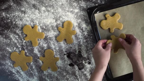 Üstten görünüm kadının koyarak ham gingerbread adam kurabiye pişirme tepsisi üzerinde eller — Stok video