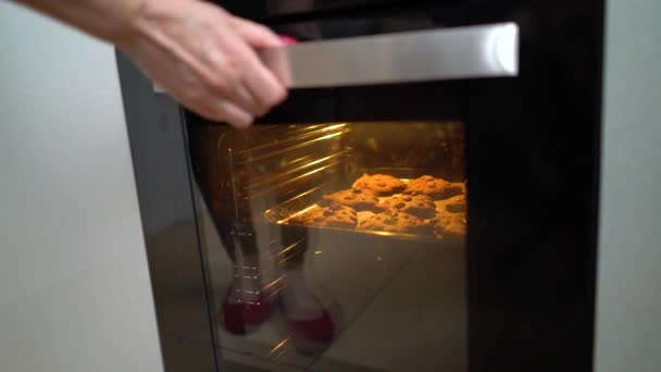 Tar Bakplåt Med Bakade Cookies Elektrisk Ugn Hemlagad Mat Cosy — Stockvideo