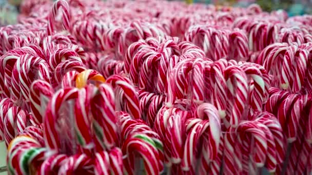 Assorment van snoep stokken op kerstmarkt — Stockvideo