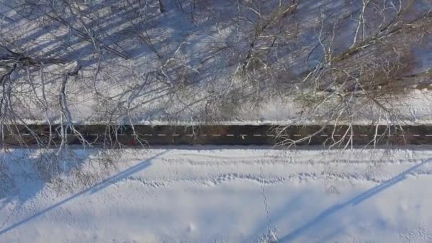 Антенна людей, бегущих марафон по снежной полосе парка зимой — стоковое видео